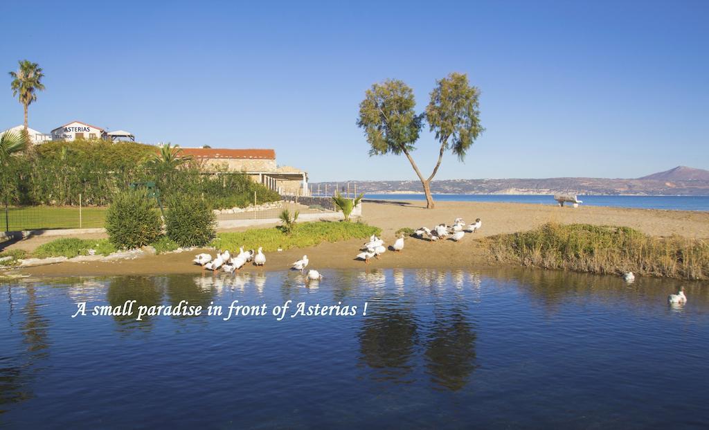 Asterias Studios & Apartments คาลีเวส ภายนอก รูปภาพ