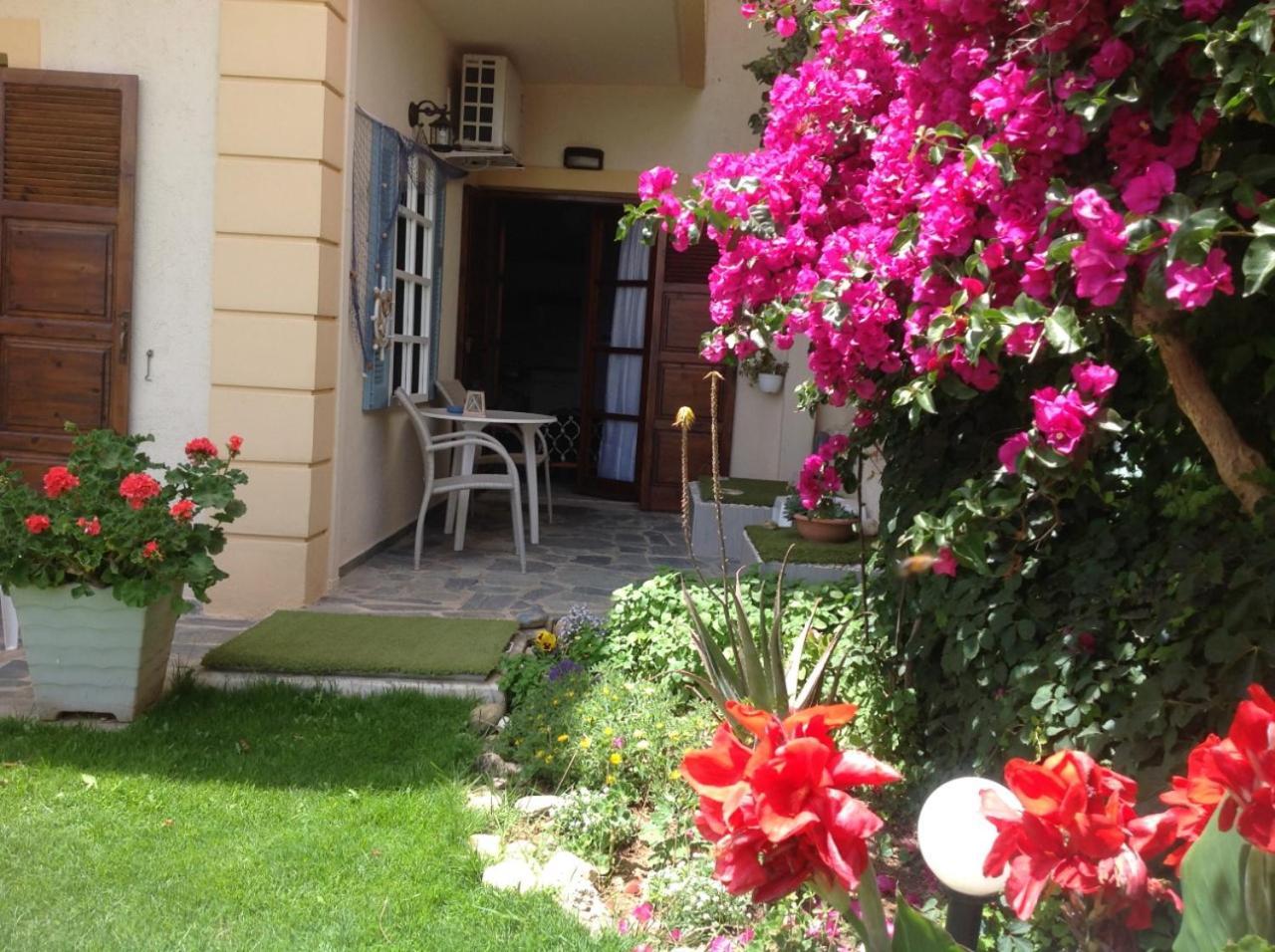 Asterias Studios & Apartments คาลีเวส ภายนอก รูปภาพ